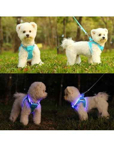Arnés LED para Perros Feycig XS Ajustable y Recargable Azul
