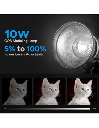 Flash Estroboscópico Godox MS300V 300W con Luz LED 10W