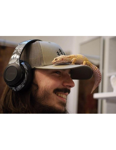 Auriculares Bluetooth Vizliter BH10 Inalámbricos 45h con Micrófono