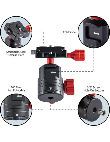 Cabezal de bola para trípode 360 con zapato frío y QR 38mm
