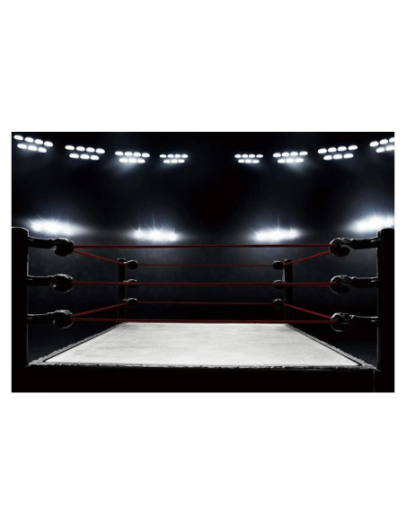 Fondo de Boxeo 7x5ft DASHAN Poliester Personalizable Fondo de Boxeo 7x5ft DASHAN Poliester Personalizable