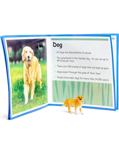 Figuras de Animales de Plástico Stages - Mascotas Realistas