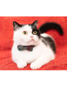 Collar para Gato Gyapet con Campana y Pajarita 2pcs Ajustable 2