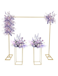 Kit de Soporte de Fondo Ajustable Weglae 2m x 2m para Bodas