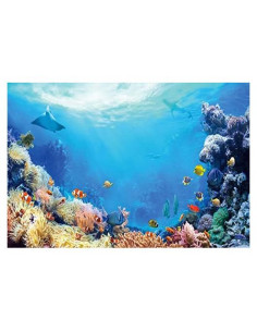Fondo de Verano Submarino Pnylzzyxh 300x240cm Vinilo Decorativo