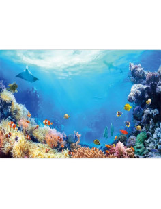 Fondo de Verano Submarino Pnylzzyxh 300x240cm Vinilo Decorativo 2