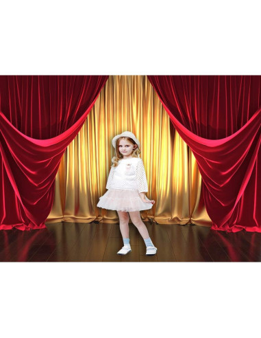 Fondo Fotográfico Qian 210x150 cm 3D Teatro Dorado y Rojo