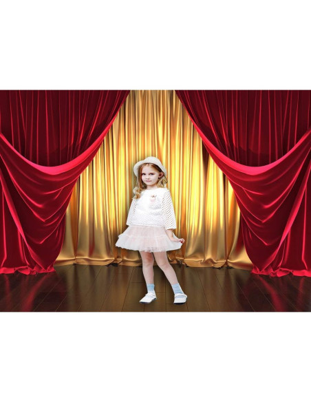 Fondo Fotográfico Qian 210x150 cm 3D Teatro Dorado y Rojo Fondo Fotográfico Qian 210x150 cm 3D Teatro Dorado y Rojo
