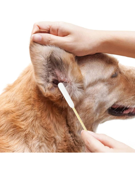 Hisopos de Algodón Ecológicos para Limpieza de Oídos de Perro - 200pcs