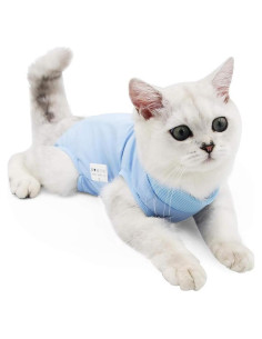 Traje de Recuperación Quirúrgica para Gatos Kodervo Azul Pequeño