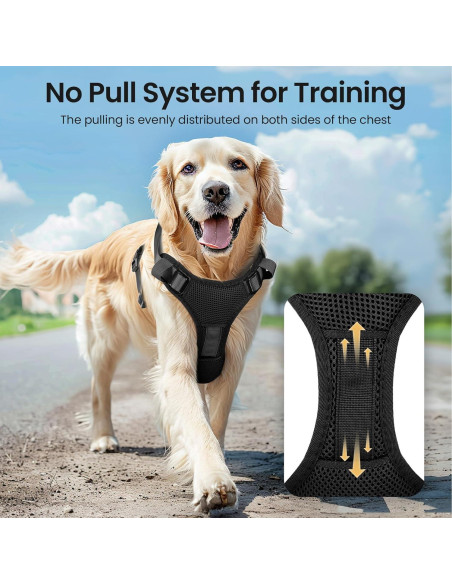 Arnés Iluminado para Perros Feycig XS Negro Ajustable LED