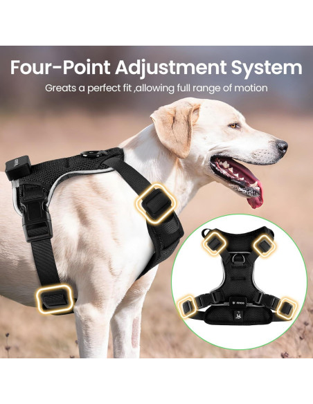 Arnés Iluminado para Perros Feycig XS Negro Ajustable LED