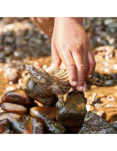 Cocodrilo Realista Schleich Wild Life 19x19x3.8 cm Juguete Cocodrilo Realista Schleich Wild Life 19x19x3.8 cm Juguete