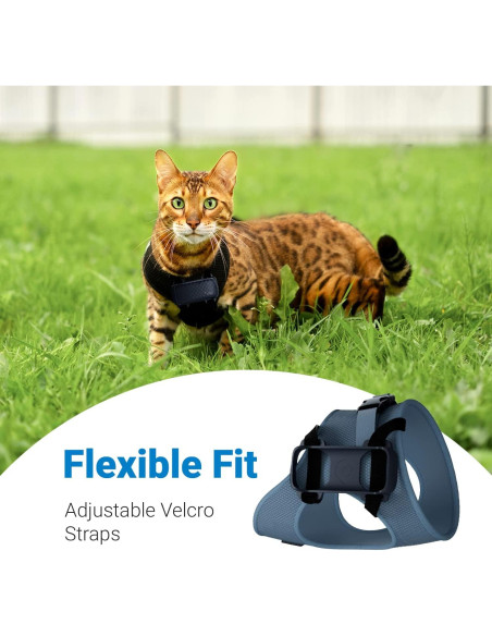 Accesorio de Arnés Tractive GPS Cat 4 para Gatos XL - Negro