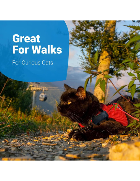 Accesorio de Arnés Tractive GPS Cat 4 para Gatos XL - Negro