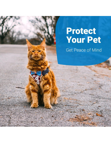 Accesorio de Arnés Tractive GPS Cat 4 para Gatos XL - Negro