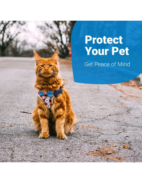 Accesorio de Arnés Tractive GPS Cat 4 para Gatos XL - Negro