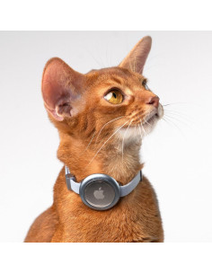 Soporte para AirTag BuddyArmor - Collar Gato/Perro Verde S 2