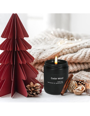 Vela Aromatizada de Cera de Soja Wrcevtor 198g Cedro Negra