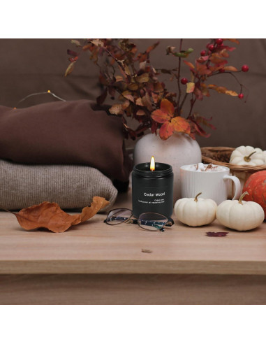 Vela Aromatizada de Cera de Soja Wrcevtor 198g Cedro Negra