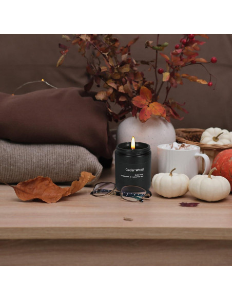 Vela Aromatizada de Cera de Soja Wrcevtor 198g Cedro Negra