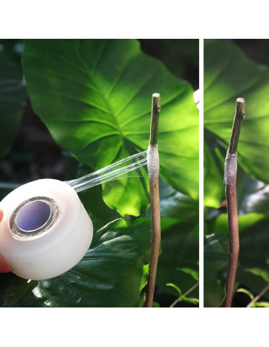 Cinta de Injerto Autoadhesiva NAYE - 6 Piezas 22.1x14 cm