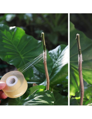 Cinta de Injerto Autoadhesiva NAYE - 6 Piezas 22.1x14 cm