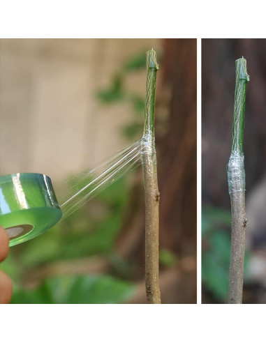 Cinta de Injerto Autoadhesiva NAYE - 6 Piezas 22.1x14 cm