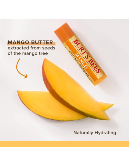 Bálsamo Labial Hidratante Burt's Bees 6 Sabores Naturales Bálsamo Labial Hidratante Burt's Bees 6 Sabores Naturales