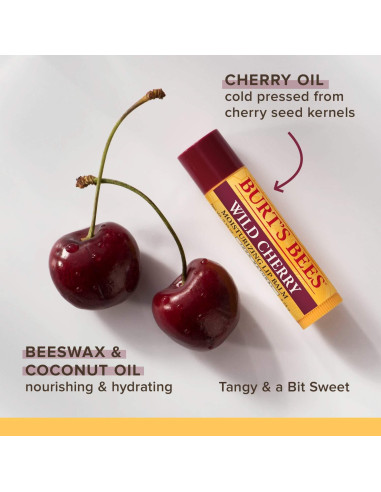 Bálsamo Labial Hidratante Burt's Bees 6 Sabores Naturales