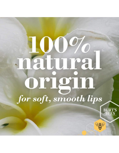 Bálsamo Labial Hidratante Burt's Bees 6 Sabores Naturales