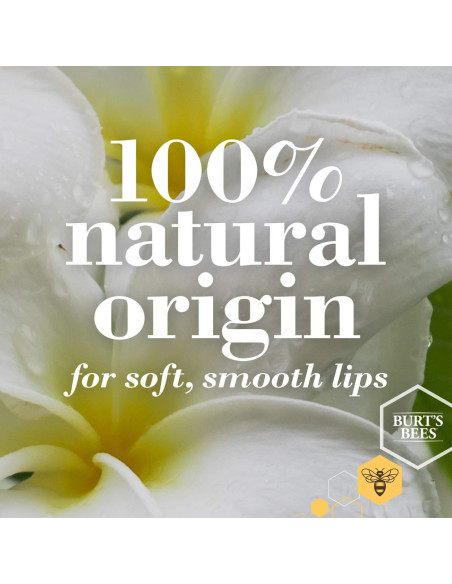 Bálsamo Labial Hidratante Burt's Bees 6 Sabores Naturales Bálsamo Labial Hidratante Burt's Bees 6 Sabores Naturales