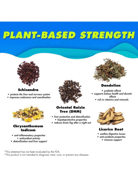 Bebida Detox The Plug 100 ml x 2 - Soporte Hepático Natural