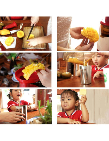 Juego de 6 Moldes de Acero Inoxidable para Paletas Povenk