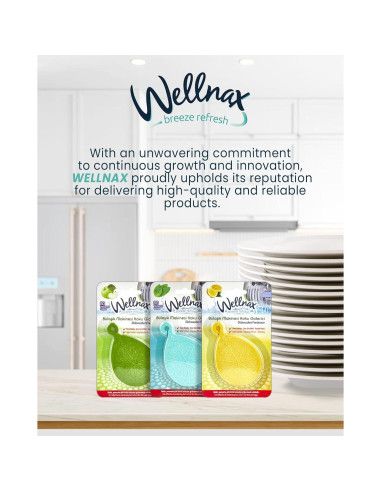 Ambientador y Limpiador para Lavavajillas Wellnax Manzana Verde