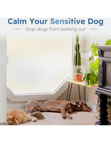 Película de Privacidad Rabbitgoo 44.5x200 cm Esmerilada UV