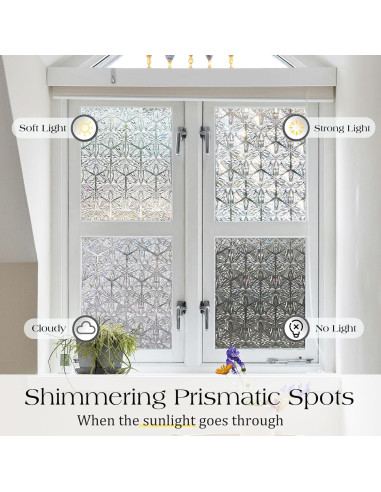 Película de Privacidad para Ventanas rabbitgoo 44.5x200 cm UV