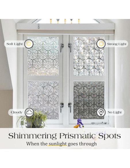 Película de Privacidad para Ventanas rabbitgoo 44.5x200 cm UV