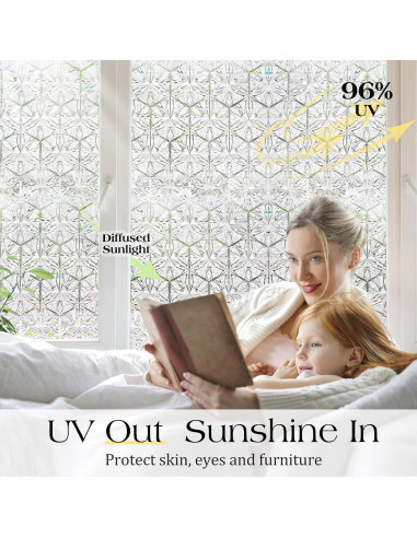 Película de Privacidad para Ventanas rabbitgoo 44.5x200 cm UV