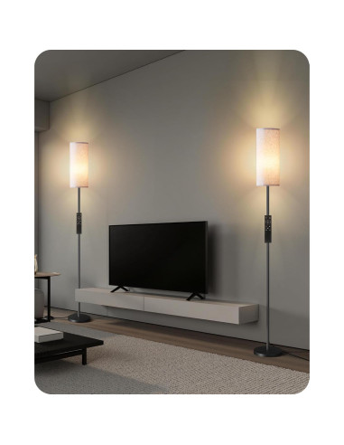 2 Lámparas de Pie Regulables GOEBLESON 66" LED 10W Control Remoto
