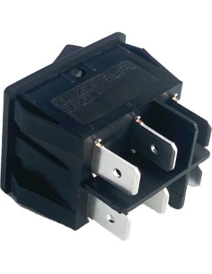 Interruptor de palanca ProTeam 1500XP 2 velocidades 105147 2