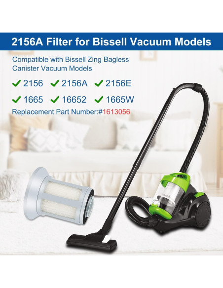 2 Filtros de Vacío Doifyn para Bissell 2156, 2156A, 1665