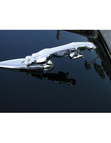 Cera de Carnauba P21S 12700W - Brillo Espejo 175g