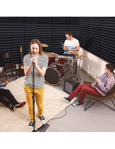 Paneles Acústicos de Espuma 2Pack 61x122cm Negro Aislante