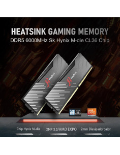 Memoria RAM Hynix M-die DDR5 64GB (2x32GB) 6000MT/s CL36 2