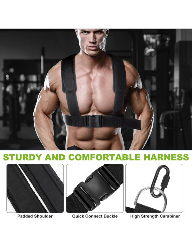 Trineo de Entrenamiento Choiana SP0513 Ajustable 250kg