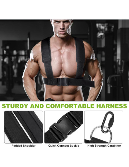 Trineo de Entrenamiento Choiana SP0513 Ajustable 250kg