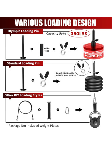 Sistema de Polea de Peso Concho - Cable Ajustable y Mangos Desmontables