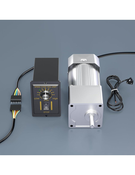 Motor de Engranaje Reversible 300W BBQ Driver 15RPM