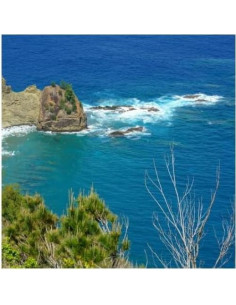 Lente Tamron 50-400mm f/4.5-6.3 para Sony FE - Ultra Telefoto 2